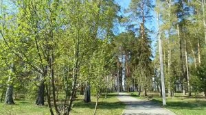 Чудесная прогулка в парке.