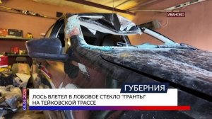 Лось влетел в лобовое стекло «Гранты» на Тейковской трассе