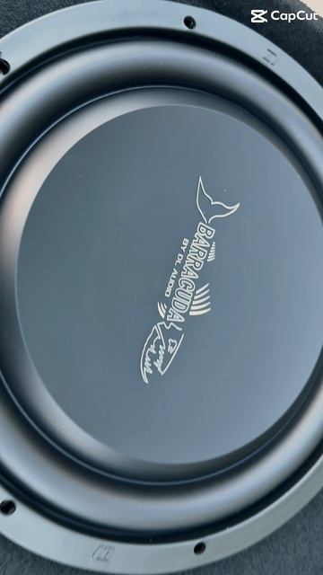 Обзор на активный сабвуфер от DL Audio Barracuda 12A Flat смотреть онлайн