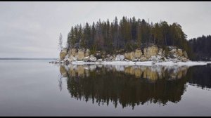 Н. Гумилёв. Одиночество