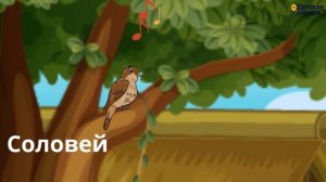 Загадки про ПТИЦ