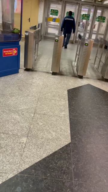 Метро. Хроники выживания..
