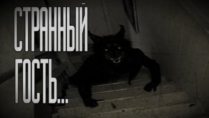 СТРАННЫЙ ГОСТЬ... Страшные истории на ночь.