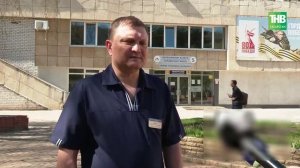 В Татарстане зафиксирован первый тяжёлый случай укуса гадюки в сезоне