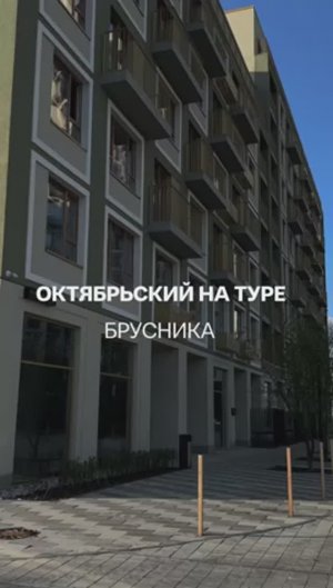 ЖК ОКТЯБРЬСКИЙ НА ТУРЕ (БРУСНИКА)
