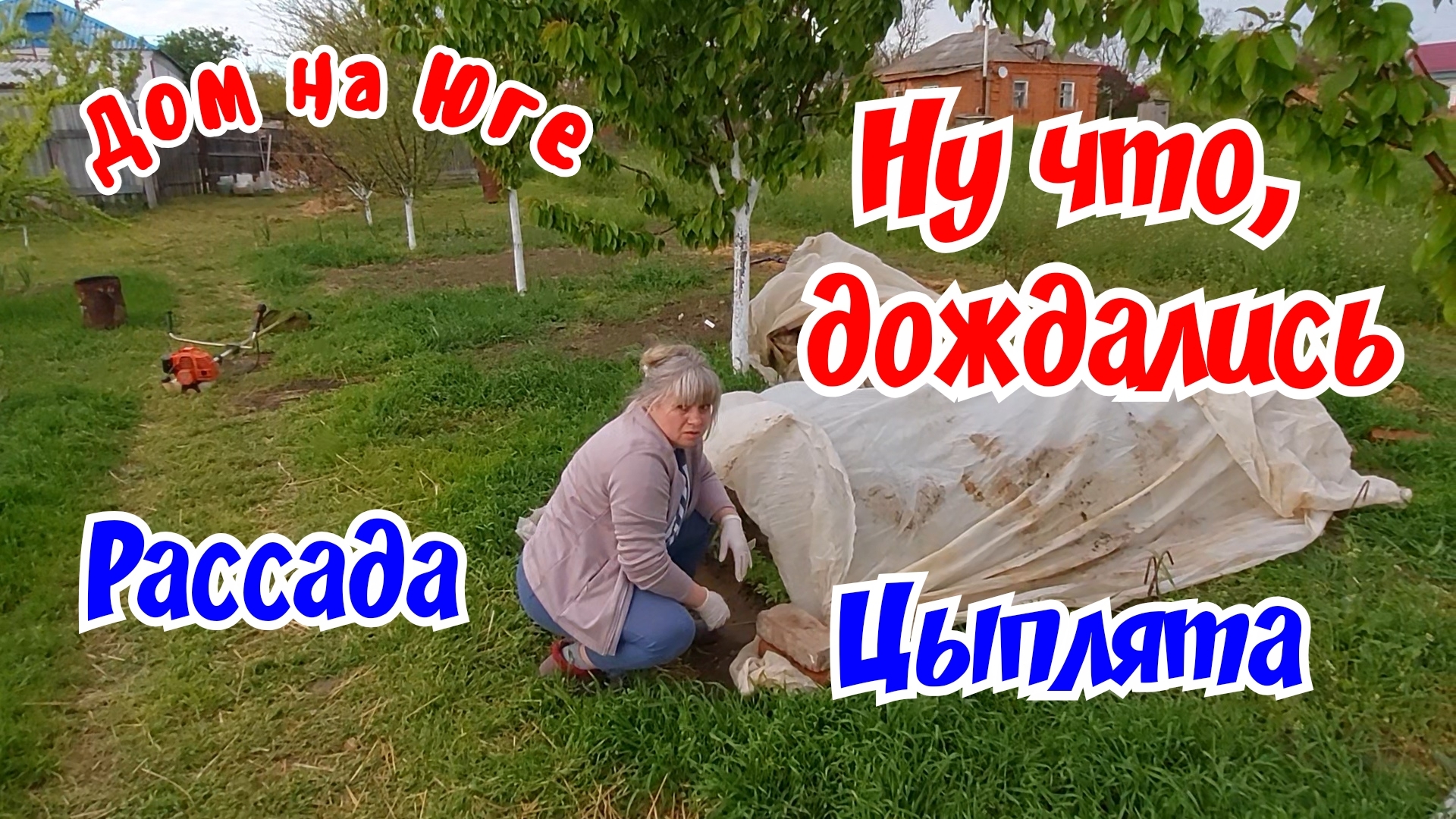 Дом на Юге. Ну что, дождались. Цыплята, рассада и многое другое.