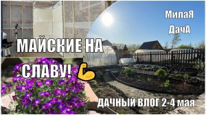 Майские на славу! Строим, высаживаем томаты, кормим розы и любуемся первыми цветами