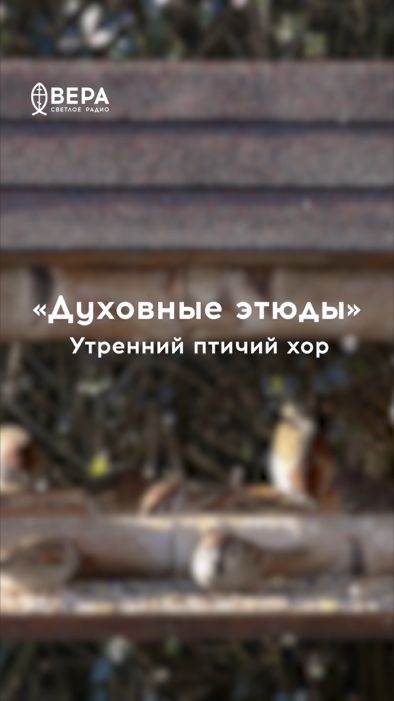 Пение птиц — образ служения Церкви
