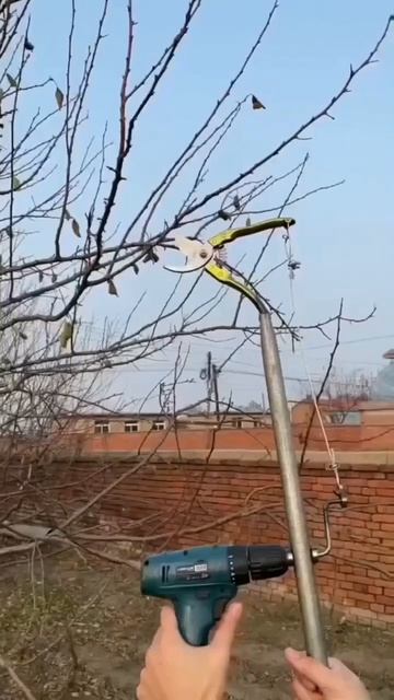 2072. Садоводы берите на заметку!