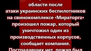 В Брянской области после атаки украинских беспилотников на свинокомплексе  произошел пожар