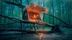 Строительство парящего домика на дереве.
