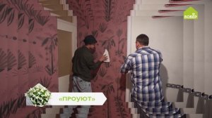 Марафон идей для дома, дачи и сада — на канале «Бобёр»!