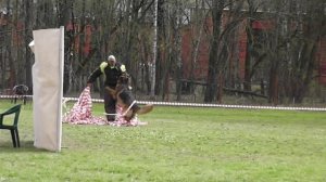 05-02-2026_ЧР по БРР Группа Б Третий участник 2 этап
