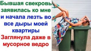 Она залезла в шкафы на кухне. Проверила холодильник, заглянула в мусорку. Это было последней каплей.