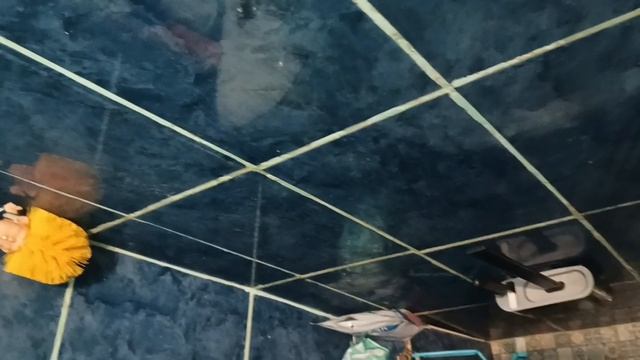 Апрель фсё!Начало мая. смотреть онлайн