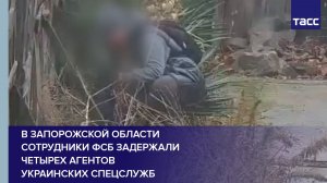 В Запорожской области сотрудники ФСБ задержали четырех агентов украинских спецслужб