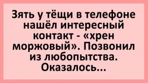 Зять у тёщи в телефоне нашёл интересный контакт... | Анекдоты смешные | Юмор