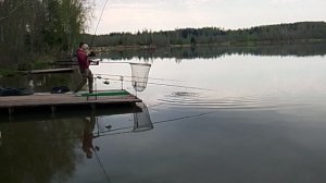 Карповая рыбалка на 9-м водоёме РК «Фишка Петряиха»