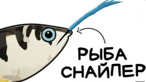 Ты - Брызгун (И ЭТО ВСЯ ТВОЯ ЖИЗНЬ)