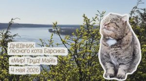 ДНЕВНИК лесного кота Барсика «Мир! Труд! Май!» 4.05.2026