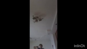 (РОФЛ2)