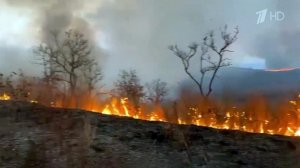 Площадь пожаров в Туве превысила 2,5 тысячи гектаров.