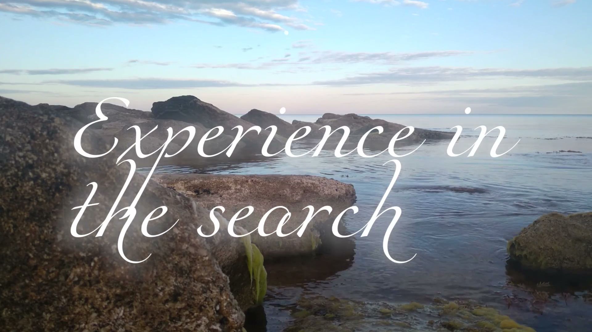 Experience in the search