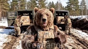 Михалыч и Потапыч - «Новые боевые позиции«17 серия.
