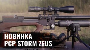 ОТСТРЕЛ НОВИНКИ PCP Storm Zeus 6,35 мм c оптикой MewLite 4-24x56 SFP
