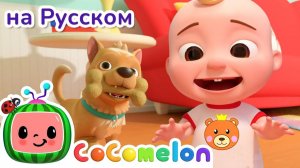 Моя Cобака - Новая Серия✨ # CoComelon на русском — Детские песенки