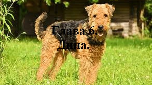 РОЖДЁННЫЙ ПОЛЗАТЬ ЛЕТАТЬ… НЕ ДОЛЖЕН!.. Часть 1. Глава 6. Дина. (целиком)