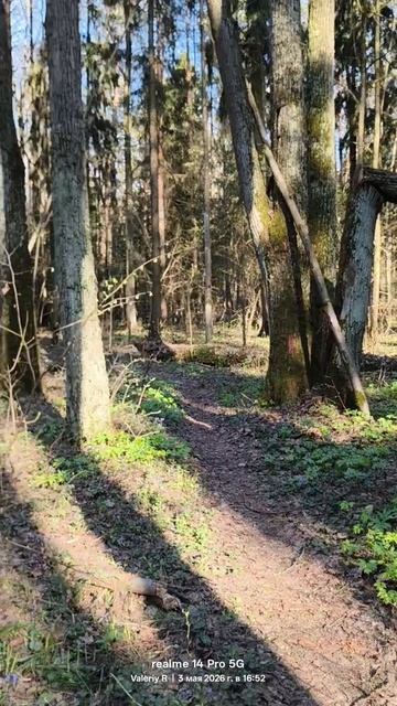 Прогулка в лесопарке по велотропе 03.05.2026 🌳🌲☀️🌳🌲