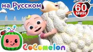 На Ферме👨🌾🧺 # Сборник 1 Час # CoComelon на русском — Детские песенки # Мультики для детей