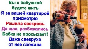 Бабушка мужа любит заложить за воротник. Характер не ангельский. Даже моя свекровь от нее сбежала.