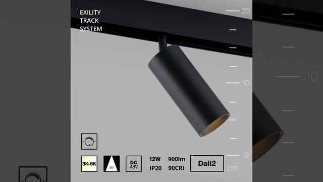 Светильник Maytoni Exility Focus LED TR032-4-12WTW-M-DD2-B смотреть онлайн