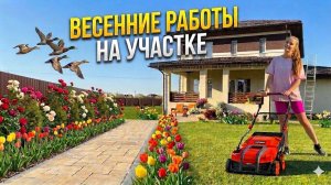 Секреты нашего изумрудного газона