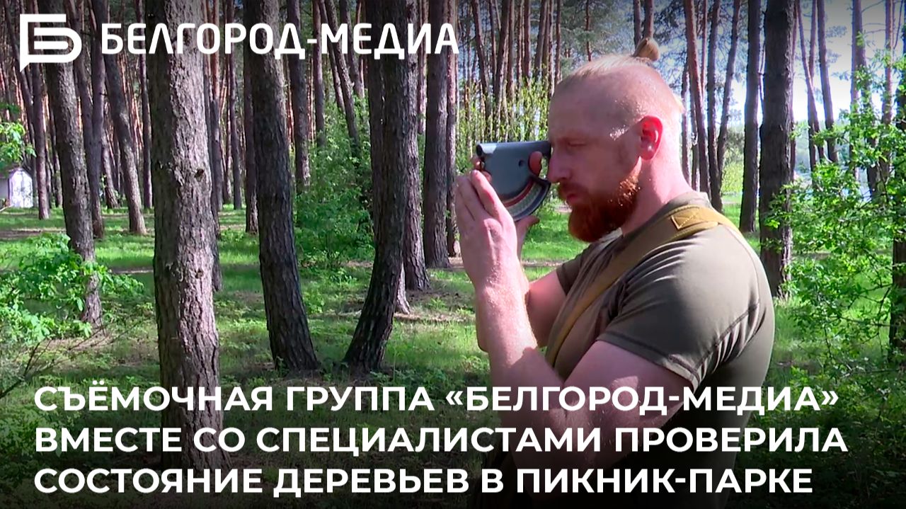 Съёмочная группа «Белгород-медиа» со специалистами проверила состояние деревьев в Пикник-парке смотреть онлайн