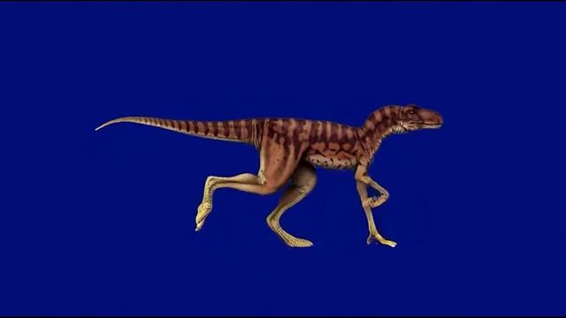 Динозавр 1-1_encoded
