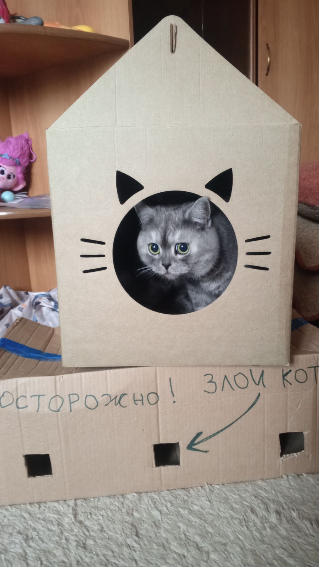 «Тот самый авторитетный кот на районе»