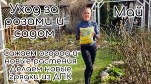 Уход за розами и садом. Сажаем огород и новые растения. Делаем новые грядки из ДПК