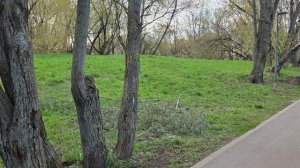 Путешествие 🌿 май в Дурасово 🏞