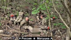 🔴Шесть пленных свинов в ожидании перемоги🔴
