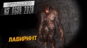 ЛАБИРИНТ ➤ Сталкер NS OGSR #34