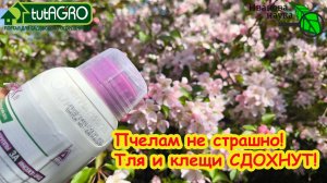 😱 Безопасная обработка даже цветущих растений! Как избавиться от тли и клеща в любое время.