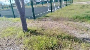 Обзор заброшек:попал в заброшенный бар и нашол там это
