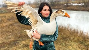 Мега Гусь Фаршированный Перепелками и Приготовленный в Печи! Незабываемый Рецепт