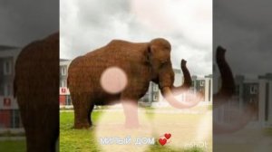 на страже покоя наш друг 🐘