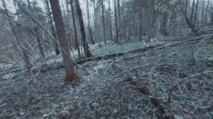Ars Arma х Smola Group - Тренировочный день