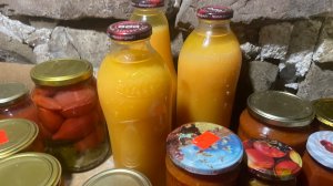 Посадила лук, чеснок, морковь, горох. Что осталось из заготовок после зимы.