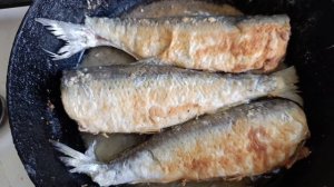 Донская селёдка, соленая и жареная